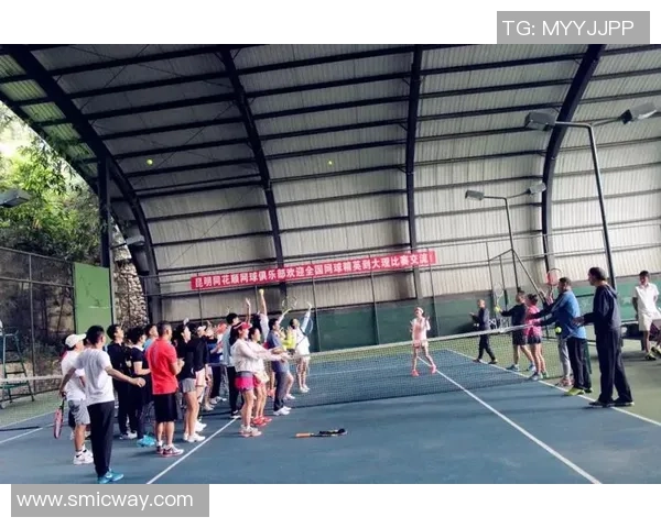 成都网球队与武汉网球队赛后战术分析与复盘探讨