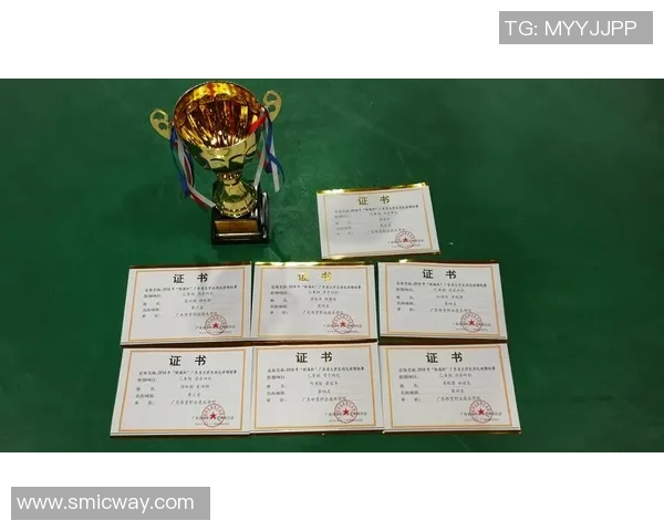 武汉羽毛球队技术表现分析与联赛成绩的深度解读