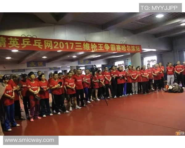 武汉乒乓球队在精英赛中的比赛经验与表现分析