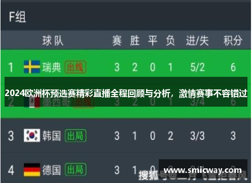 2024欧洲杯预选赛精彩直播全程回顾与分析，激情赛事不容错过